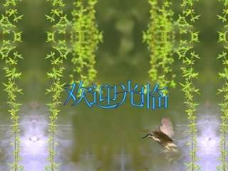 高二数学反射变换