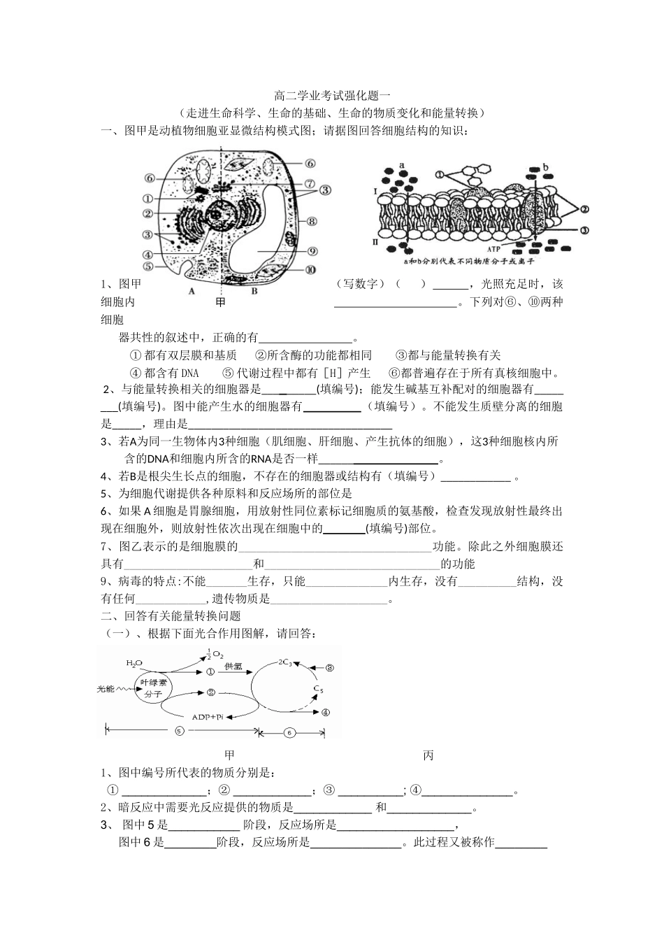 高二学业考试强化题一_第1页