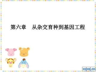 高中生物第六章 从杂交育种到基因工程