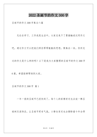 2024圣诞节的作文300字_9