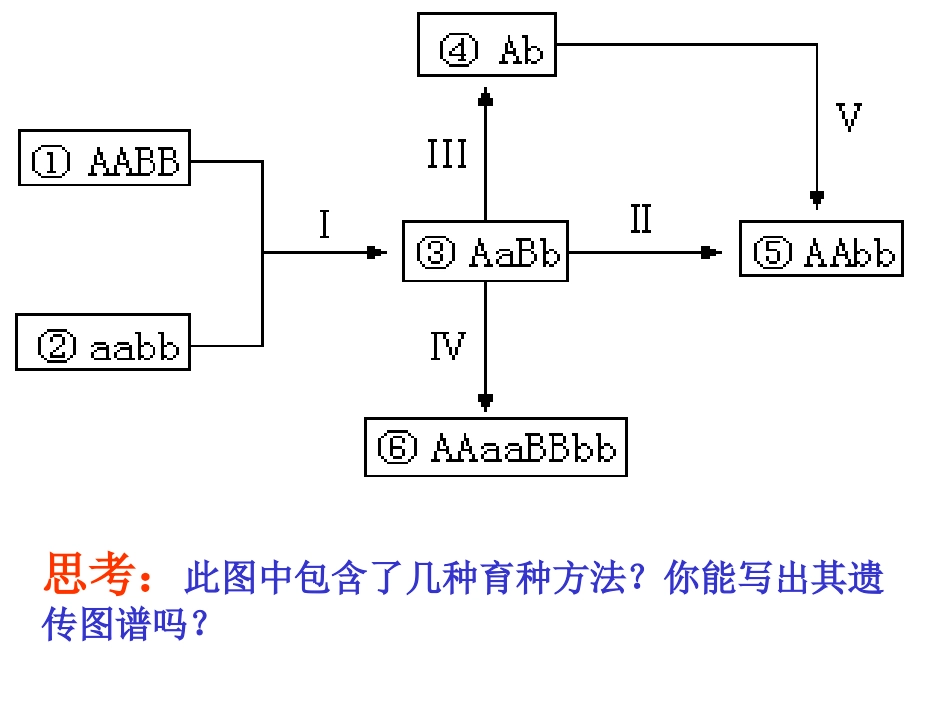 高中生物育种知识总结复习课件_第3页