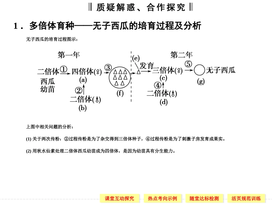 高中生物必修2同步课件：5-2-2染色体变异(2013人教版)_第3页