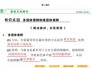 高中生物必修2同步课件：5-2-2染色体变异(2013人教版)