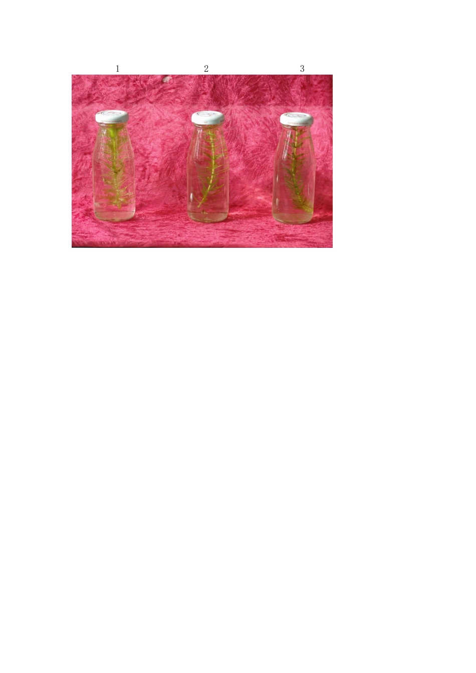 高中生物四、数字化实验：温度对光合作用强度_第2页