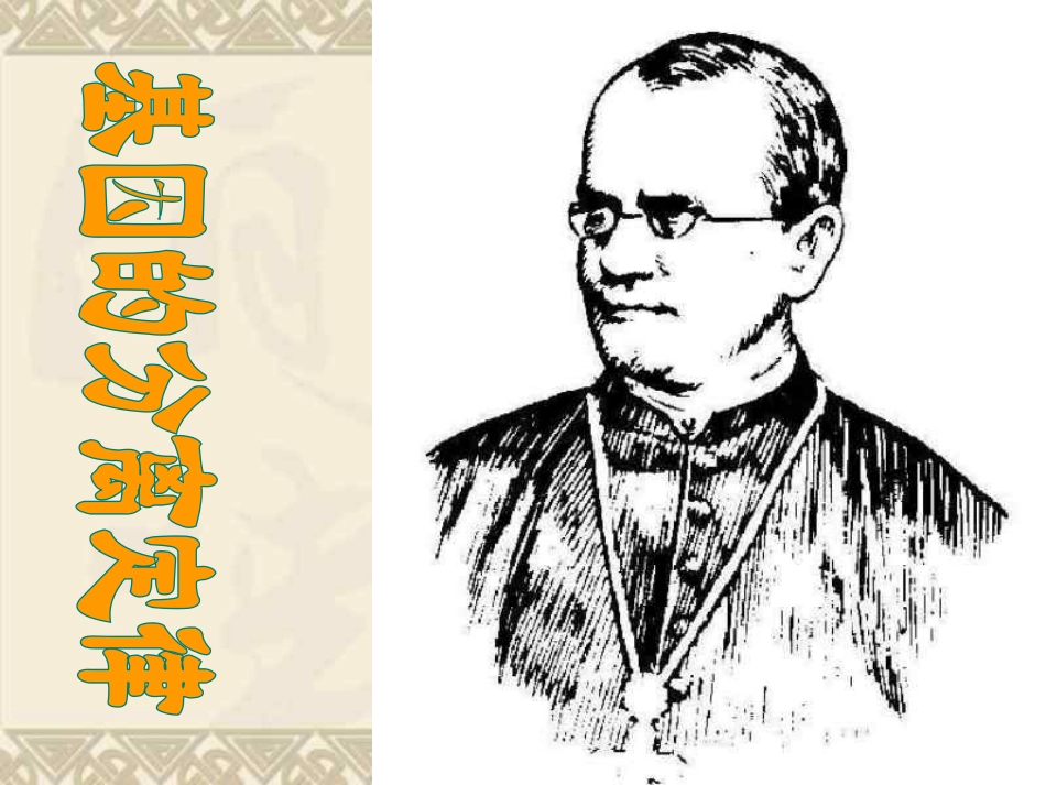 高中生物分离定律_第1页