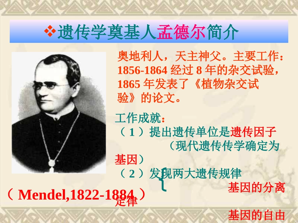 高中生物分离定律_第2页