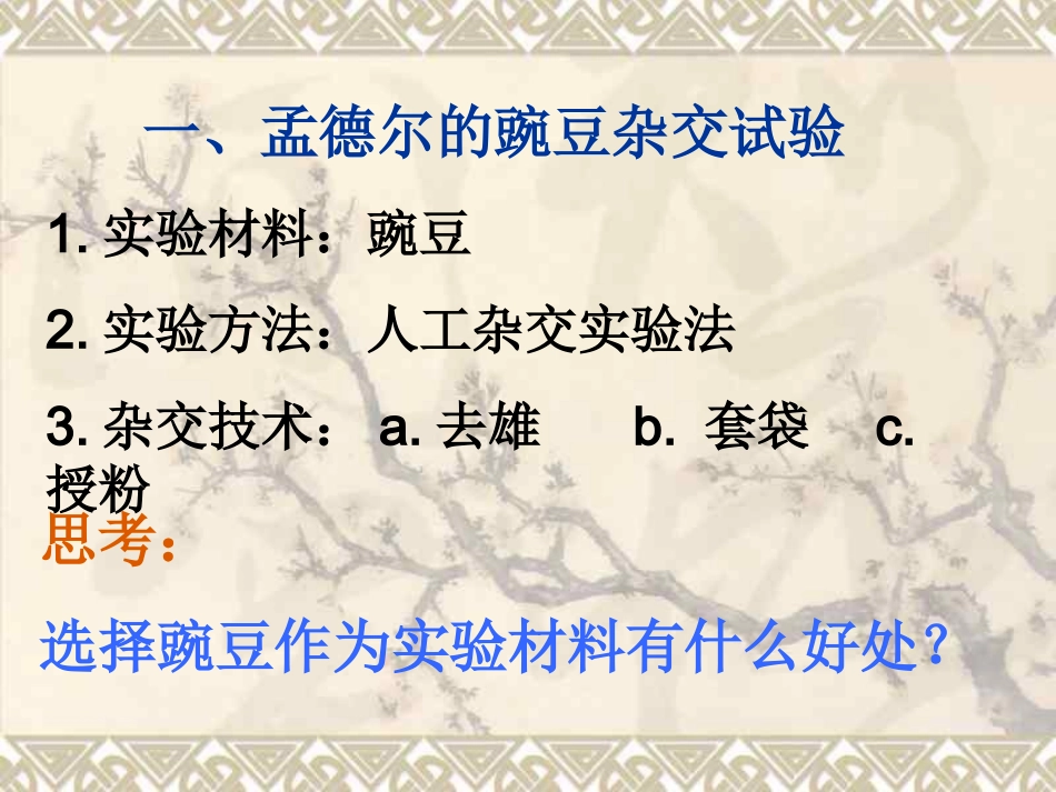 高中生物分离定律_第3页