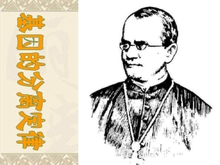 高中生物分离定律