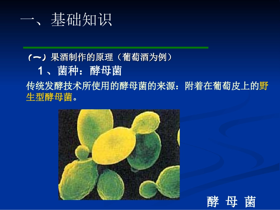 高中生物《果酒和果醋的制作》_第3页