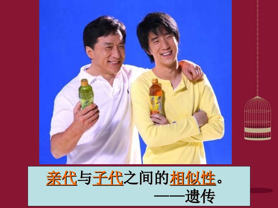 高中生物 第一章 第1节 孟德尔的豌豆杂交实验一课件 新人教版必修2_第1页