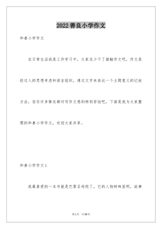 2024善良小学作文