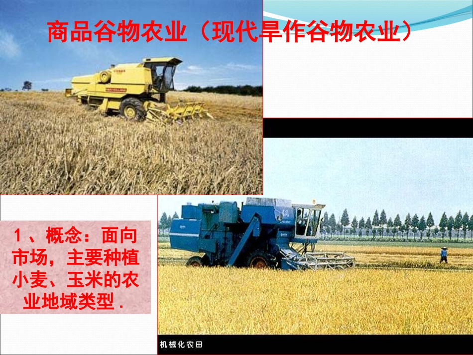 高中地理《以种植业为主的农业地域类型》过关课_第2页