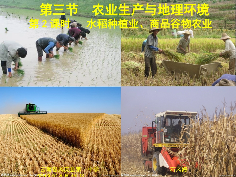 高中地理  水稻种植业、商品谷物农业_第1页