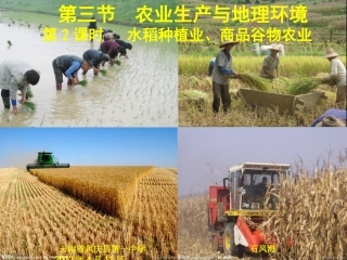 高中地理  水稻种植业、商品谷物农业