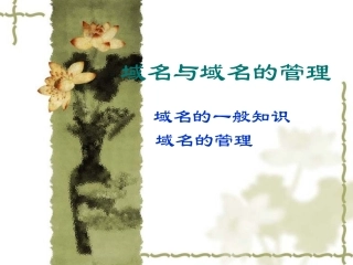 高中信息2.1域名与域名管理