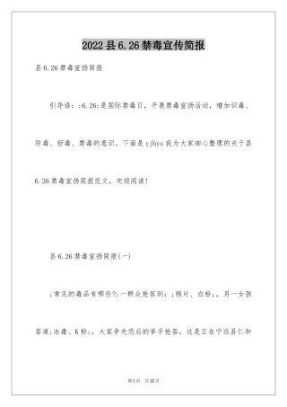 2024县6.26禁毒宣传简报