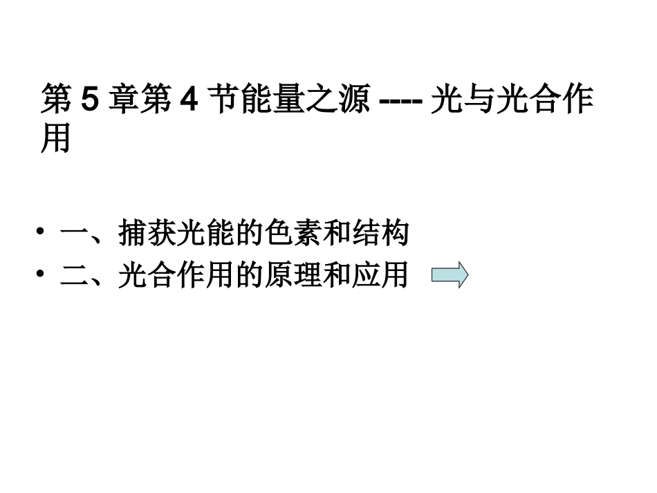 高一生物第5章第4节光合作用1复习课件_第2页