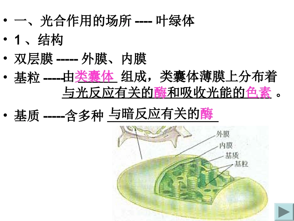 高一生物第5章第4节光合作用1复习课件_第3页