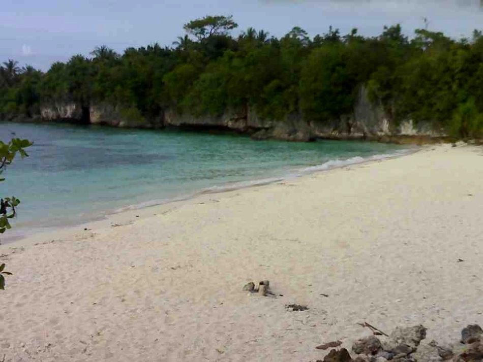 骨盆及相关结构_第2页