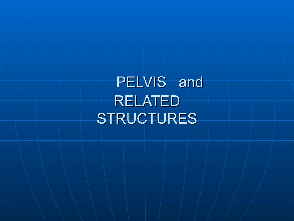 骨盆及相关结构_第3页