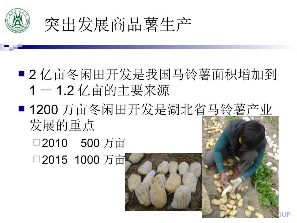 马铃薯高产高效栽培_第3页