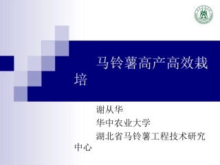 马铃薯高产高效栽培