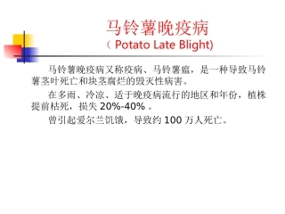 马铃薯晚疫病