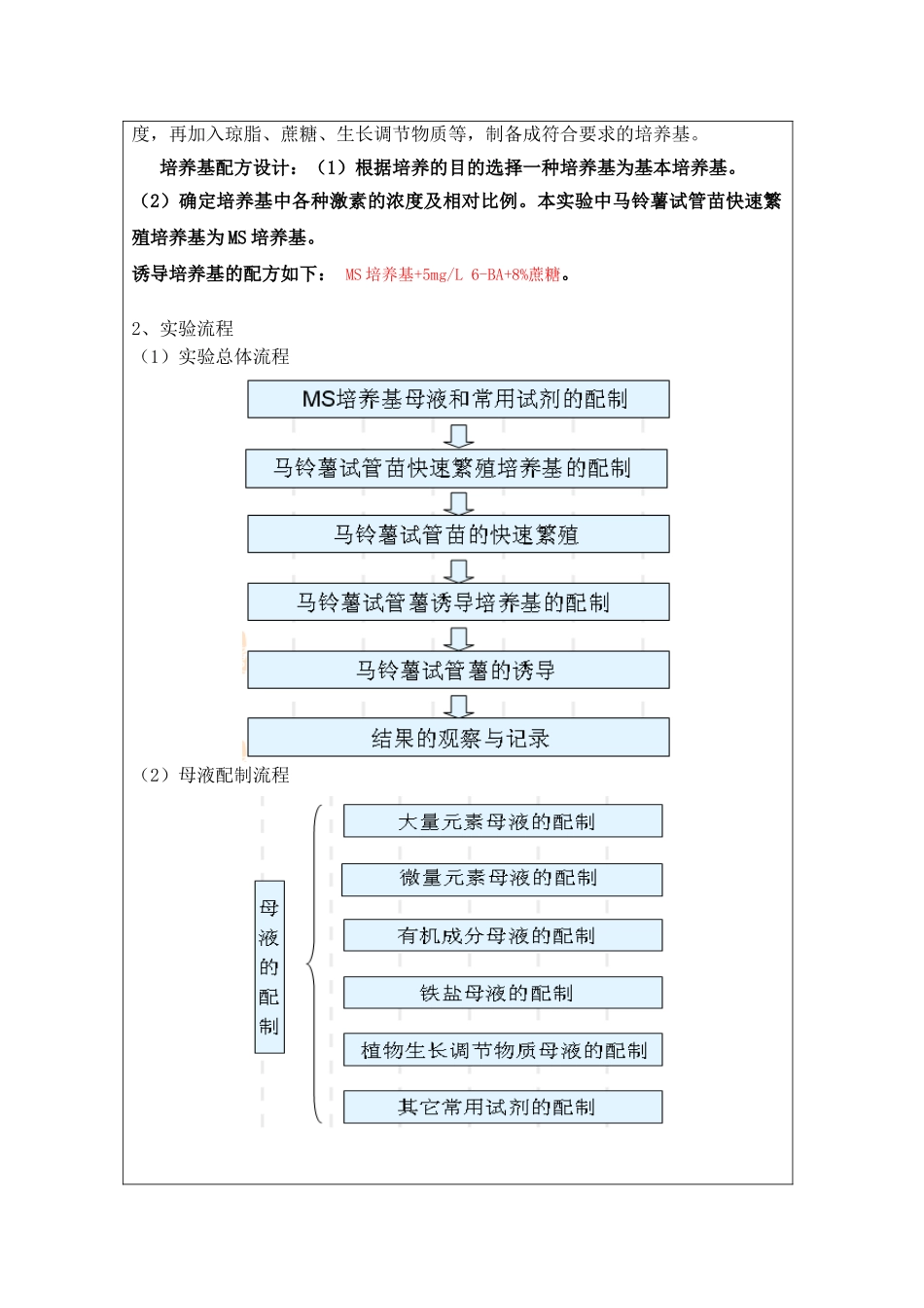 马铃薯快速繁殖(实验结果)_第3页