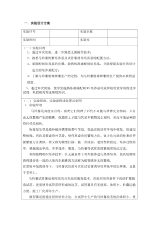 马铃薯快速繁殖(实验结果)