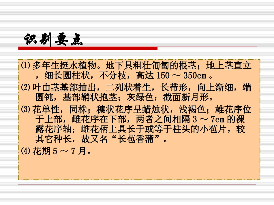 香蒲科 Typhaceae_第3页