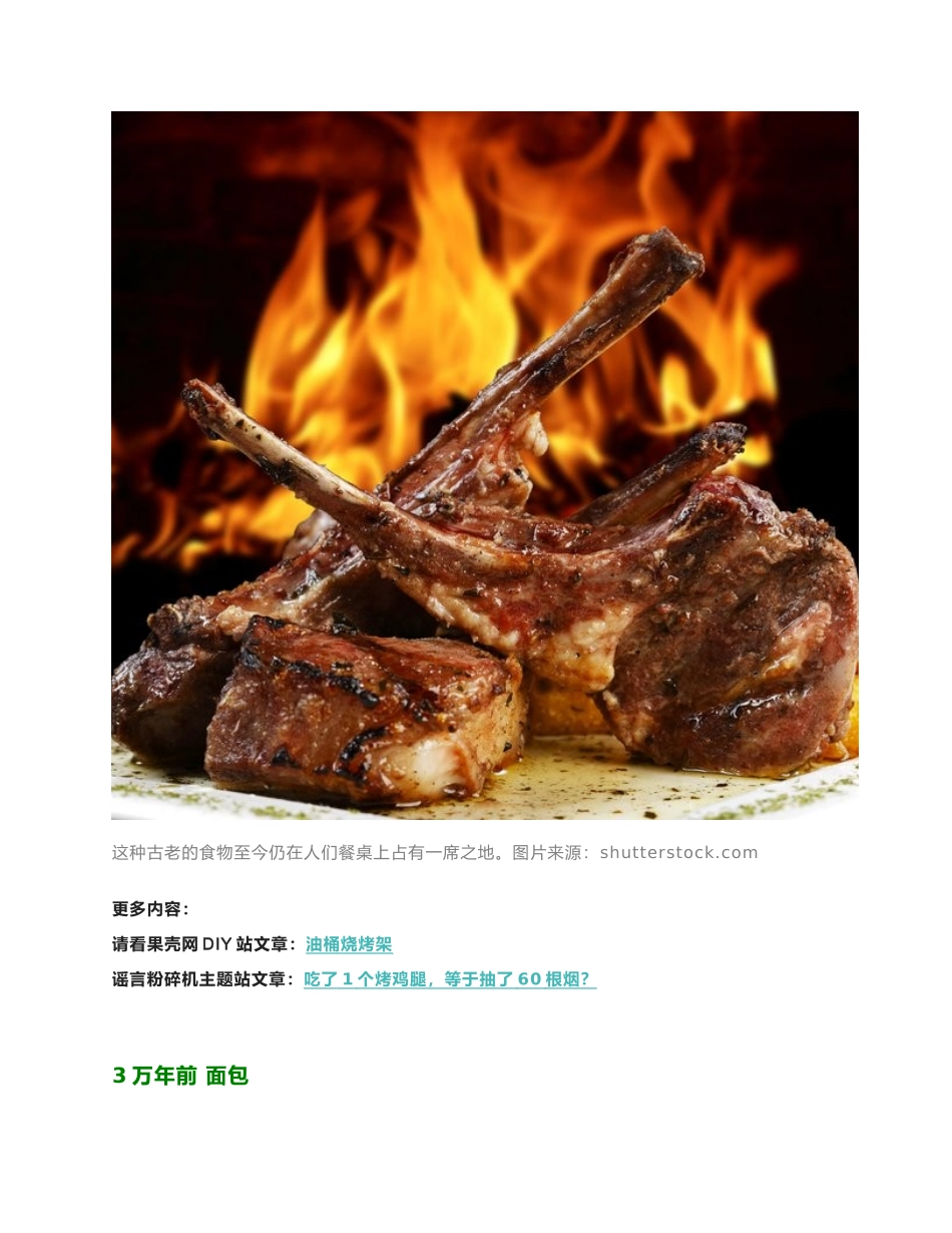 餐桌上的进化史_第2页