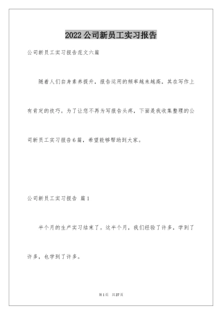 2024公司新员工实习报告_1