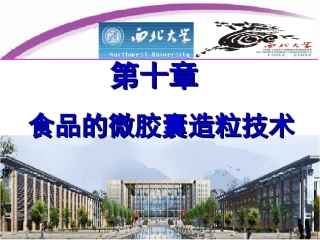 食品的微胶囊造粒技术