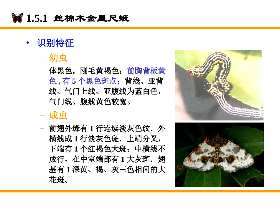 食叶害虫(2)_201102_第3页