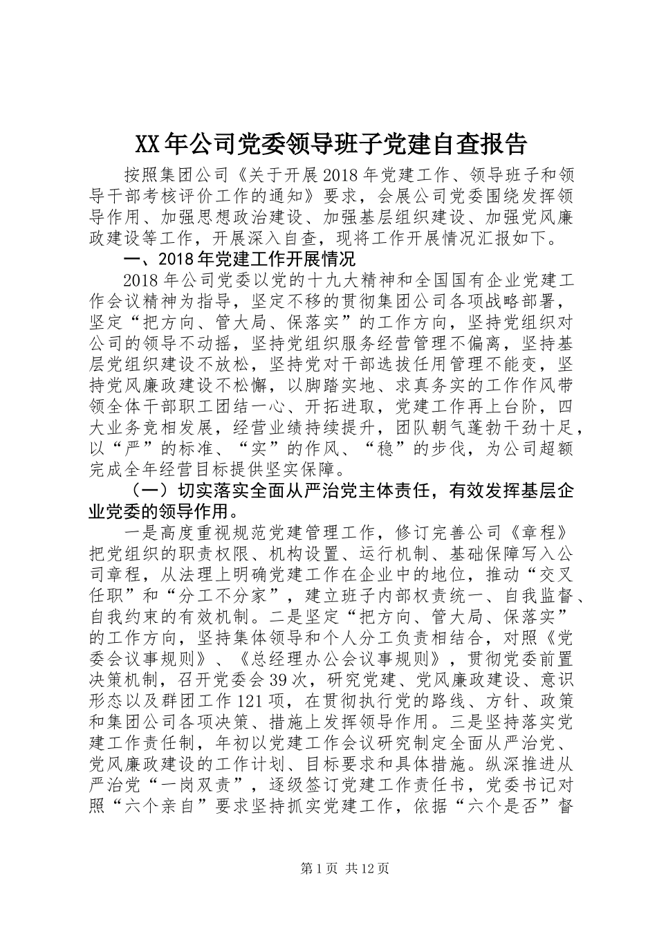 XX年公司党委领导班子党建自查报告_第1页