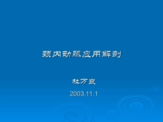 颈内动脉分段详解