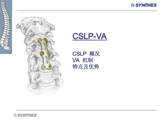 颈椎前路锁定钢板  CSLP-VA