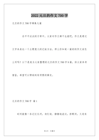 2024元旦的作文700字_11