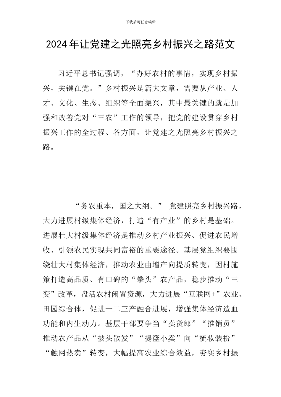 2024年让党建之光照亮乡村振兴之路范文_第1页