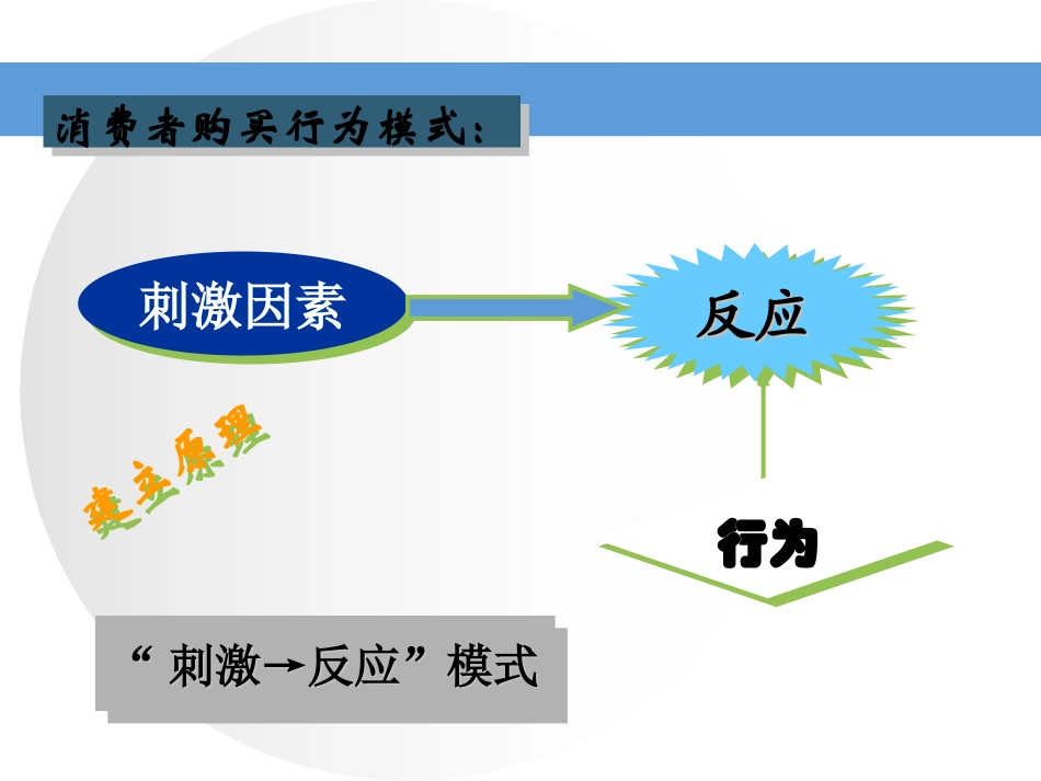 顾客购买行为_第3页