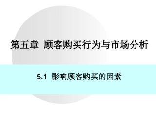 顾客购买行为