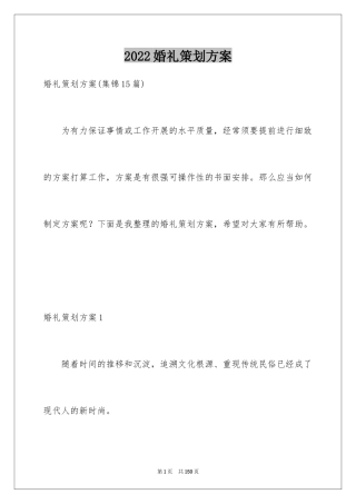 2024婚礼策划方案_24