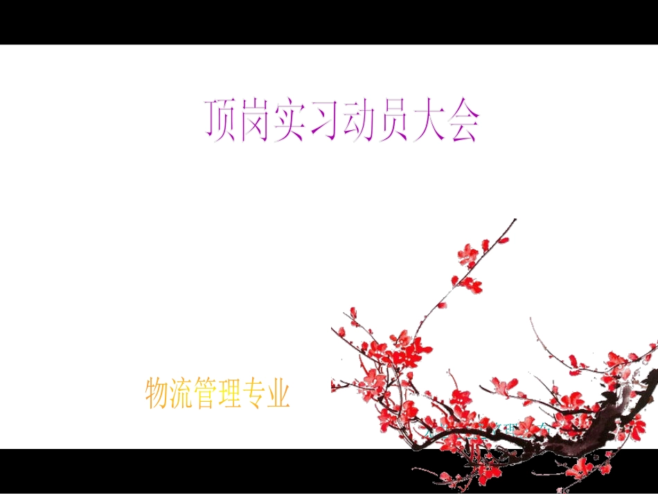 顶岗实习动员_第1页