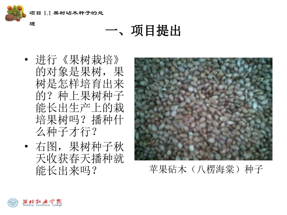 项目11 果树砧木种子的处理_第2页