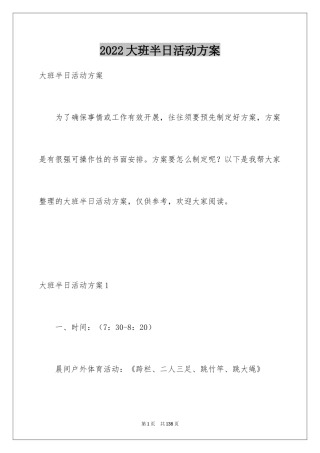 2024大班半日活动方案_2
