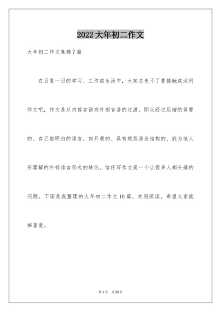 2024大年初二作文_4