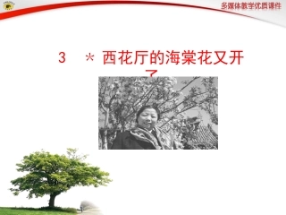 青自制课件《西花厅的海棠花又开了》
