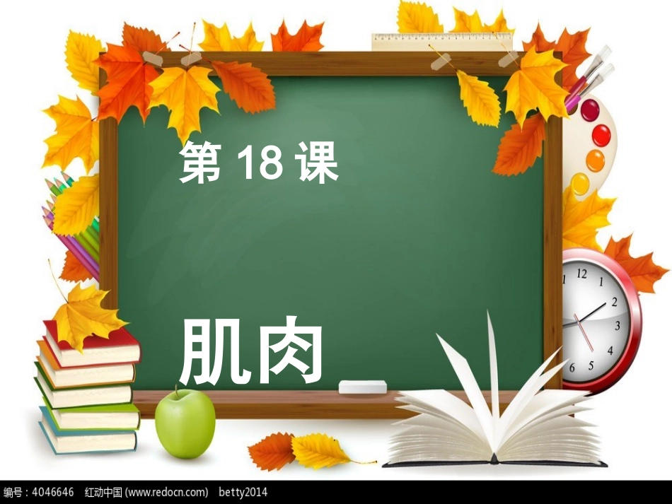 青岛版科学三年级下册18课肌肉课件PPT_第1页