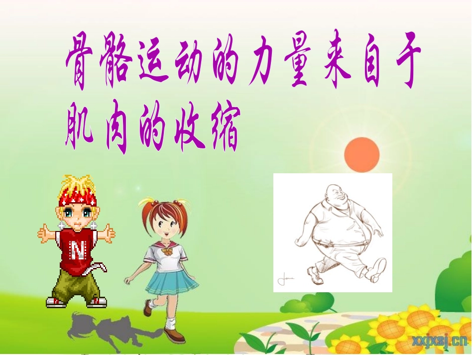 青岛版科学三年级下册18课肌肉课件PPT_第3页