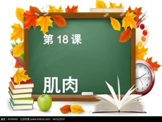 青岛版科学三年级下册18课肌肉课件PPT